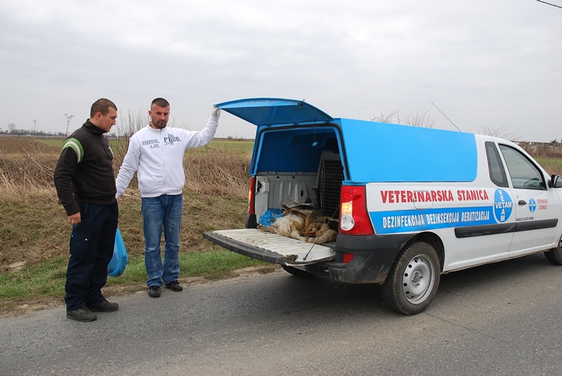 <p>Općina Čepin potpisala je ugovor o poslovnoj suradnji s tvrtkom Vetam d.o.o. Osijek u svrhu kvalitetnog i stručnog rješavanja problema izgubljenih, pronađenih, ranjenih ili zlostavljanih životinja, te odvoz i zbrinjavanje životinjskih lešina s javnih površina.</p>
